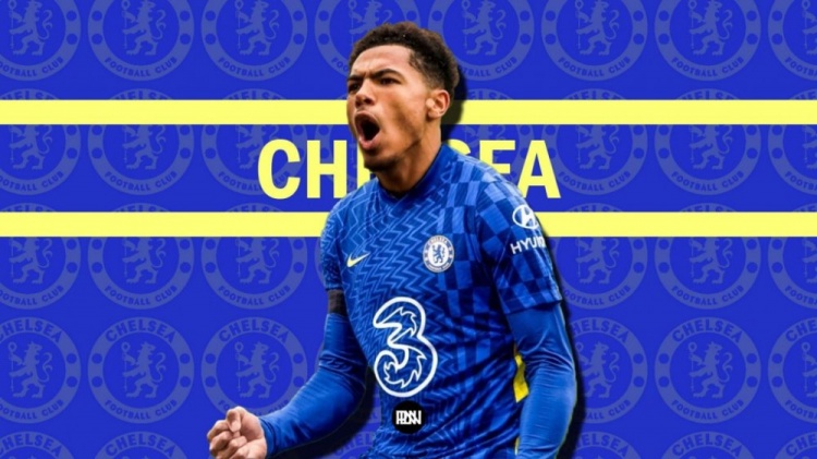 罗马诺：科尔维尔将租借加盟布莱顿，且不含买断条款