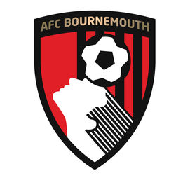 英冠前瞻：伯恩茅斯近期表现出色，雷丁心理处于下风